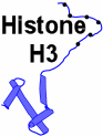 Phylogenesis of Histone H3